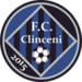 Academica Clinceni