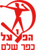 Hapoel Kfar Shalem F.C.