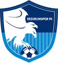 Erzurumspor