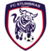 Stumbras Kaunas