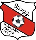 SpVgg Hankofen-Hailing