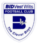 Bidvest Wits