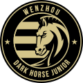 Wenzhou Professional
