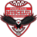 AFC Campulung Muscel