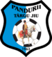 Pandurii Tg. Jiu