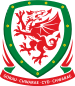 Wales U19