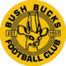 Mthatha Bucks